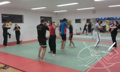 Training MMA_2